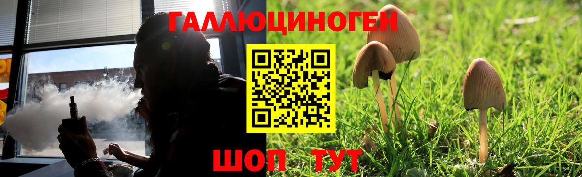 Галлюциногенные грибы мухоморы  Псилоцибиновые грибы мухоморы  Вход с VPN  Ипатово 