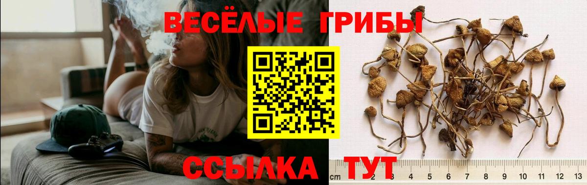 Галлюциногенные грибы Magic Shrooms Ипатово
